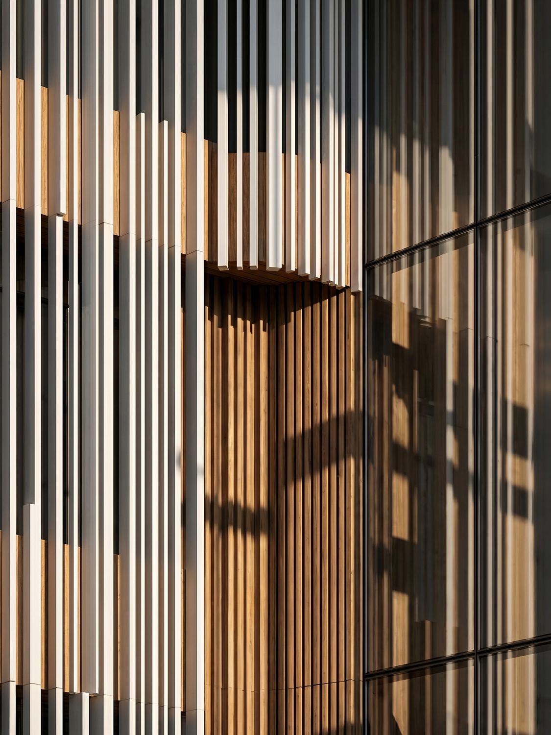 A Corporate Destination — New Administrative Capital, Egypt — Xforms Studio