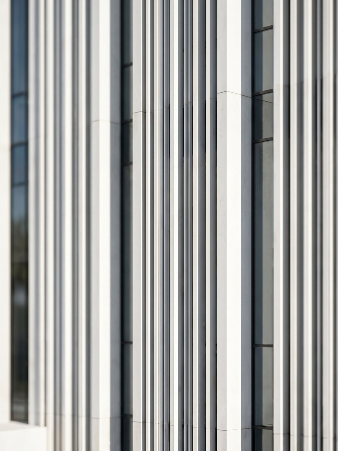 A Corporate Destination — New Administrative Capital, Egypt — Xforms Studio